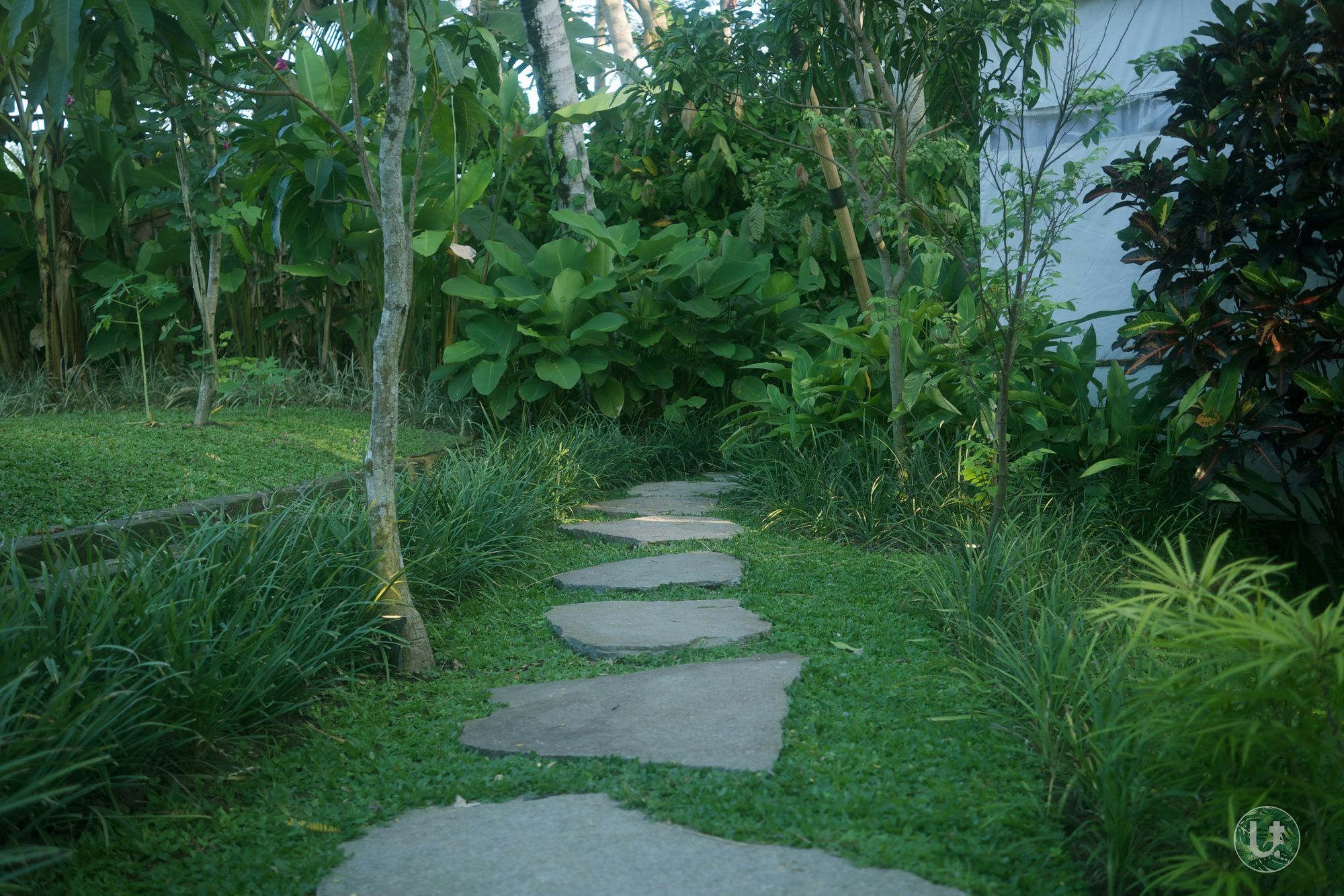 Ubud Tropical Екстер'єр фото